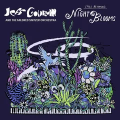 Jeff Goldblum Night Blooms (CD)