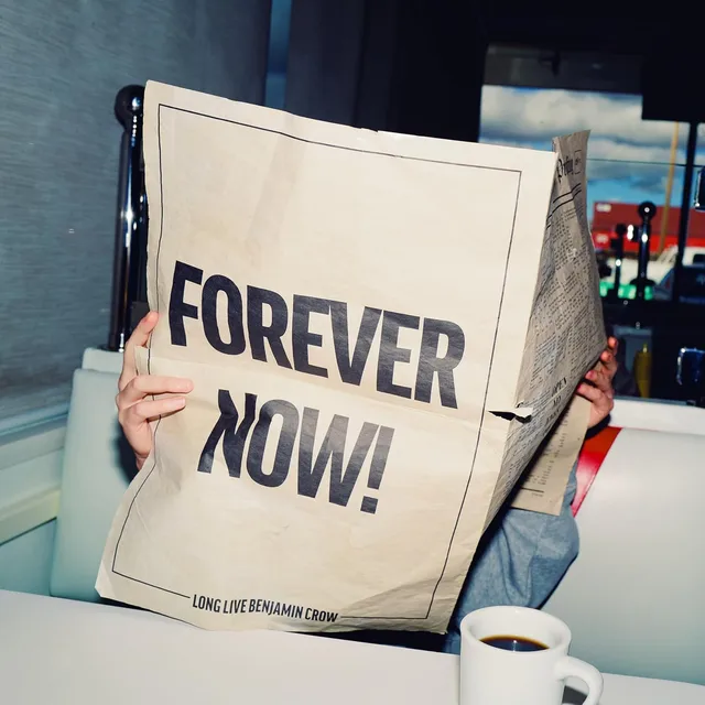 Switchfoot Forever Now (LP) 