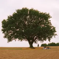 Aphaca Vild Ungdom (LP)