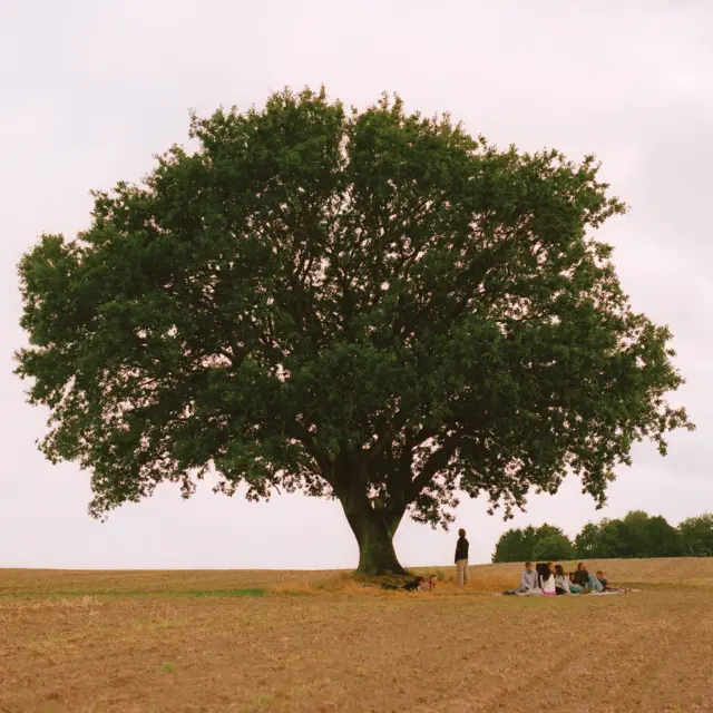 Aphaca Vild Ungdom (LP) 