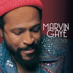 Marvin Gaye Collected - LTD (2LP)