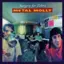 Metal Molly Surgery For Zebra - LTD (LP)