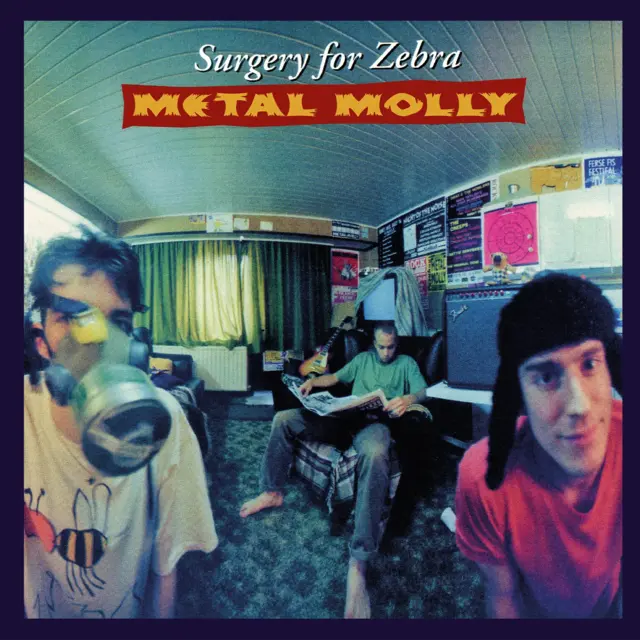 Metal Molly Surgery For Zebra - LTD (LP) 