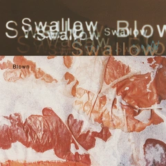 Swallow Blown - LTD (2LP+12'')