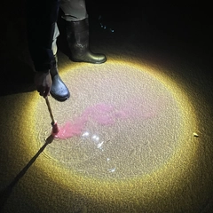 Diles Que No Me Maten Escrito En Agua - LTD (LP)