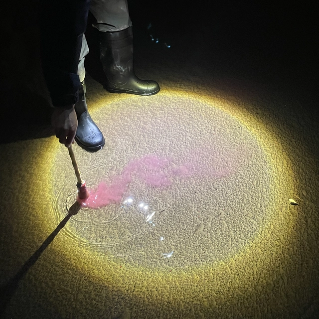 Diles Que No Me Maten Escrito En Agua - LTD (LP) 