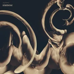 Siamese Dissolution - LTD (LP)