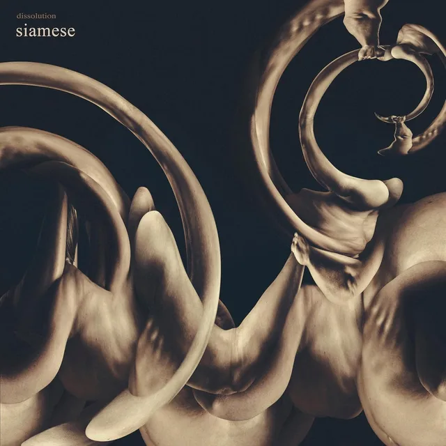Siamese Dissolution - LTD (LP) 