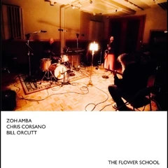 Zoh Amba / Chris Corsano / Bill Orcutt The Flower School (CD)