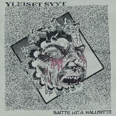 Yleiset Syyt Saitte Mitä Halusitte (LP)