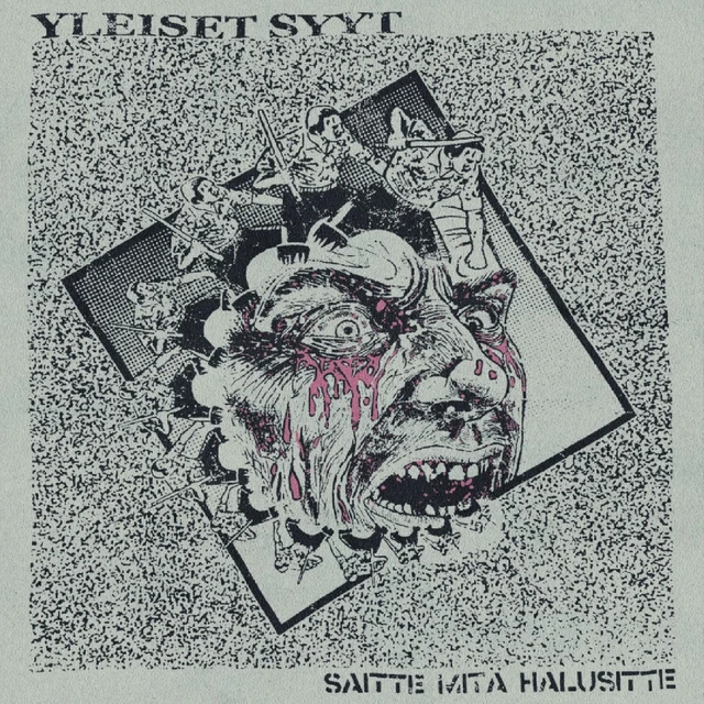 Yleiset Syyt Saitte Mitä Halusitte (LP) 