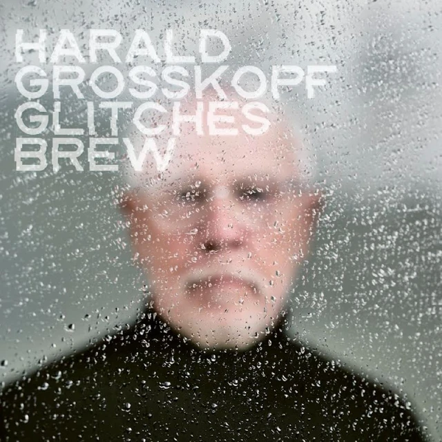 Harald Grosskopf Glitches Brew (LP) 