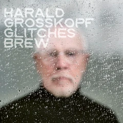 Harald Grosskopf Glitches Brew (CD)