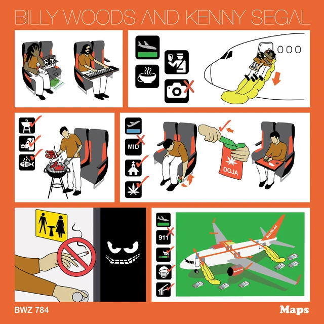 Billy Woods Maps (LP) 