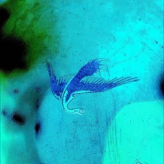 Schilling Details (LP)