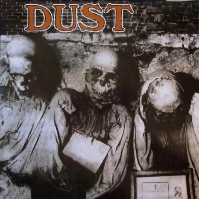 Dust Dust (LP) 