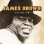 James Brown Collected - LTD (2LP)