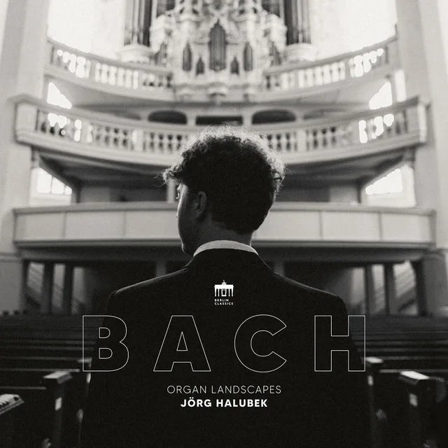 Jörg Halubek Bach: Organ Landscapes (LP) 
