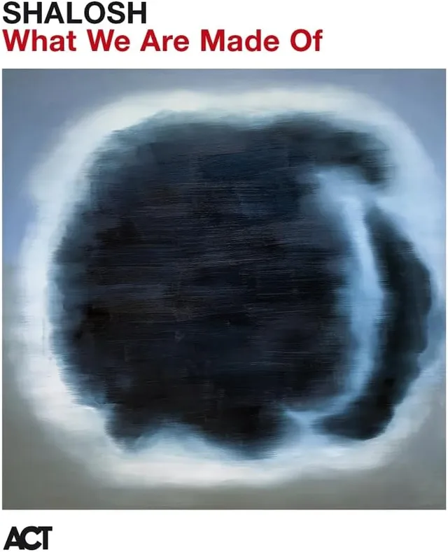 Shalosh What We Are Made Of (LP) 