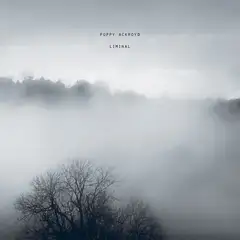 Poppy Ackroyd Liminal (LP)
