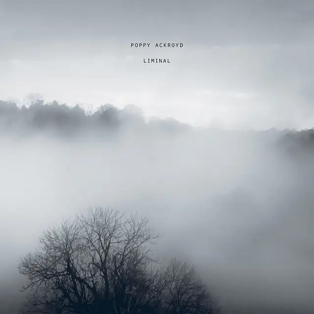Poppy Ackroyd Liminal (LP) 