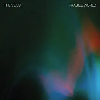 The Veils Fragile World (CD)