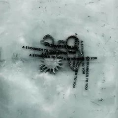 Loathe A Stranger To You - LTD (2LP)