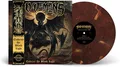 100 Demons Embrace The Black Light (LP)