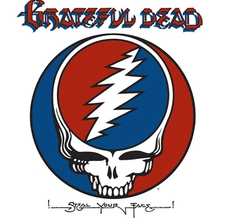 Grateful Dead Steal Your Face - LTD (2LP)