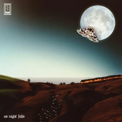 Jerk As Night Falls (LP)