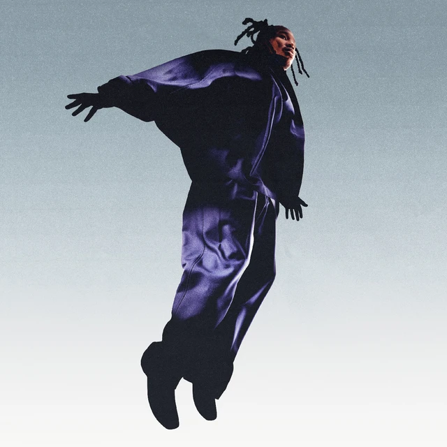 Mavi The Pilot (LP) 