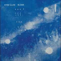 Eyre Llew Bloom (CD)