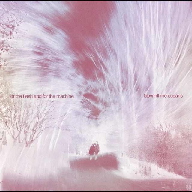 Labyrinthine Oceans For The Flesh And For The Machine (CD) 
