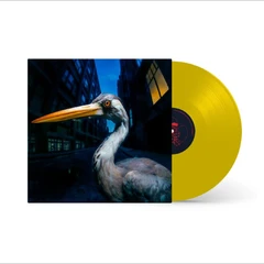 Antony Szmierek Decoding Birdsong - LTD (LP)