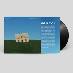 Michigander Over Before You Know It (LP)
