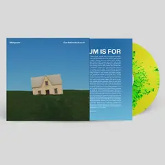 Michigander Over Before You Know It - LTD (LP)