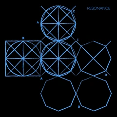 Acid Arab Resonance (2LP)