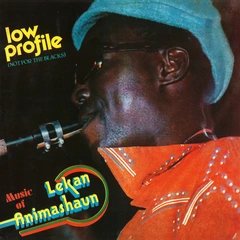 Lekan Animashaun Low Profile (Not For The Blacks) (LP)