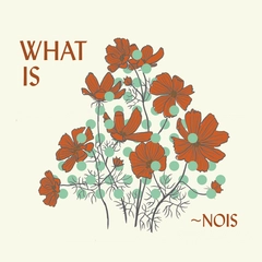 Nois What Is Nois? (CD)