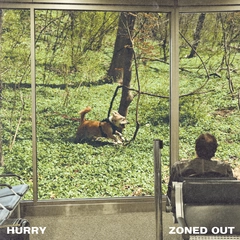 Hurry Zoned Out - LTD (LP)
