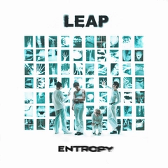 Leap Entropy - LTD (LP)