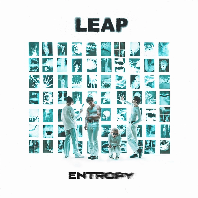 Leap Entropy - LTD (LP) 