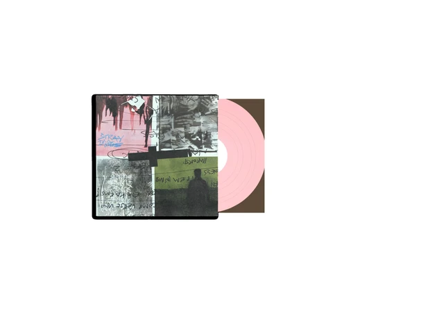 Nothing But Thieves Stray Dogs - LTD (LP) 