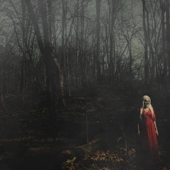 156/Silence From A Distance - LTD (LP)