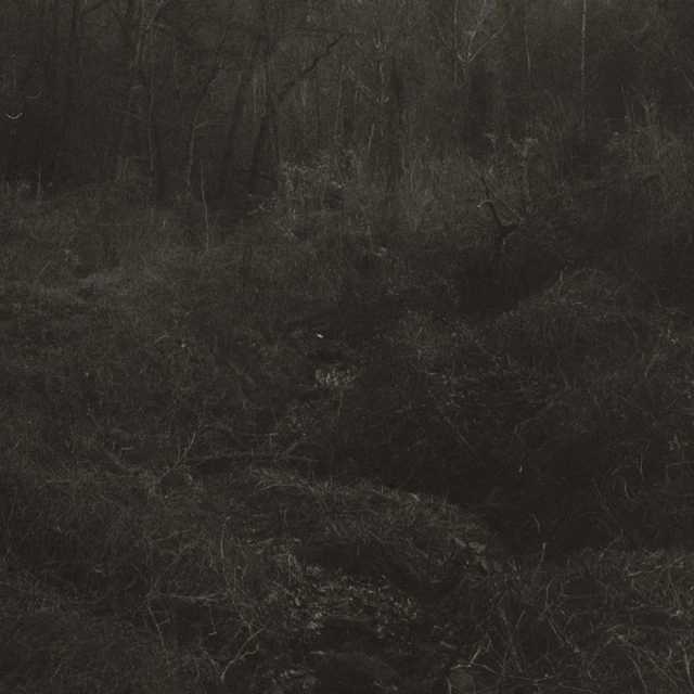 Lesley Mok Transient (LP) 