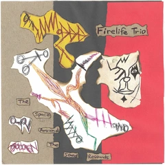 Firelife Trio The Space Around The Sound Resounds (CD)