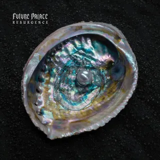 Future Palace Resurgence (CD)