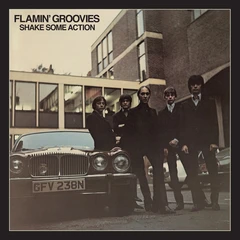 Flamin' Groovies Shake Some Action - LTD (2CD)