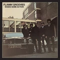 Flamin' Groovies Shake Some Action - LTD (2LP)
