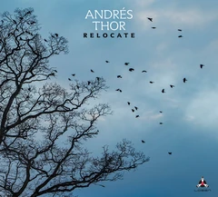 Andrés Thor Relocate (LP)